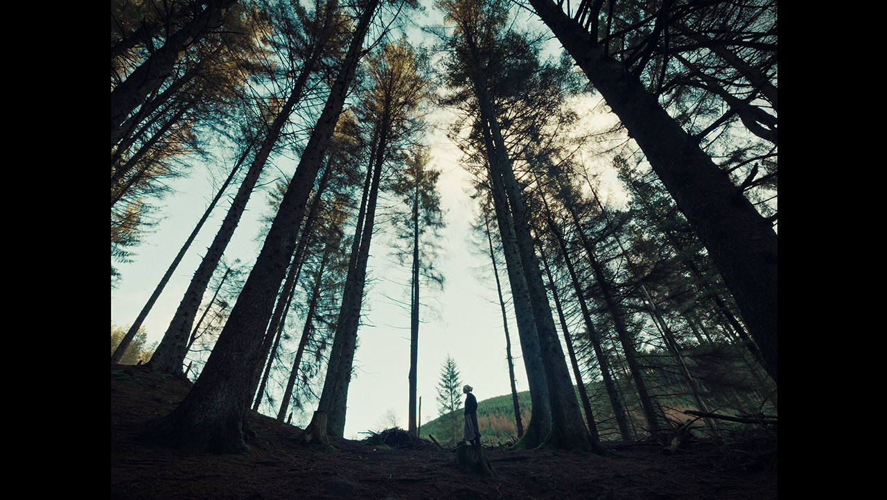 Test Shots For "Culling"